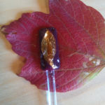 Emilie_Esthéticienne-Domicile_Laval_Massages-