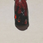 NailArt_Ongles_Manucure_Halloween_Domicile-4